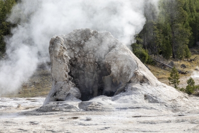 Old Faithful Geyser Area Yellowstone 2024